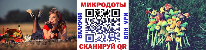 купить наркоту  omg вход  Галлюциногенные грибы Psilocybe  Струнино 